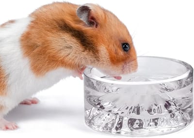 Hamster Voeder- en Waterbakken - Glazen Drinkbakken voor Syrische en Dwerghamsters, Woestijnratten en Muizen, Ideaal voor Kleine en Grote Huisdieren