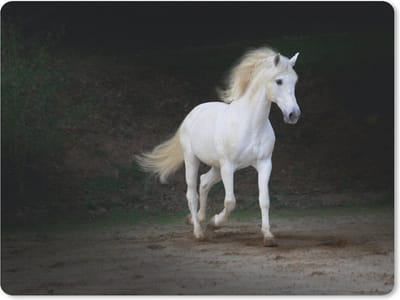 Muismat Paarden - Wit paard in een donkere omgeving muismat rubber - 23x19 cm - Muismat met foto