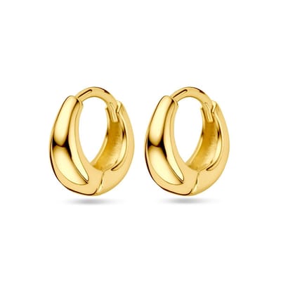 Zilver Verguld (Geel) Klapoorringen 11.5 Mm 1 Micron 2103677