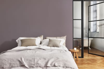 Levis - Expert Muur Binnen Mix - Shady Purple C50 - Mengverf - 10 L