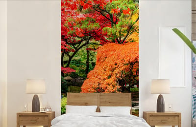 Behang - Fotobehang Bomen - Japans - Stenen - Pad - Natuur - Breedte 120 cm x hoogte 240 cm
