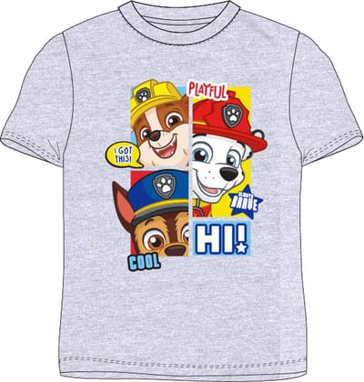 PAW Patrol Shirt - Grijs - Maat 116/122