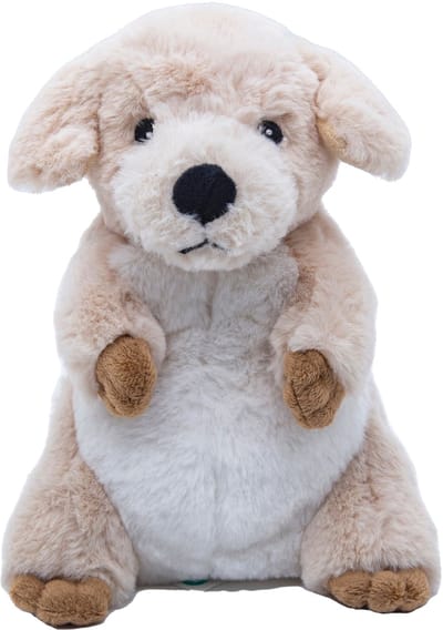 Cute since 1999 - Knuffel Hond - Zittende speelgoed - OEKO Baby knuffel - 21cm
