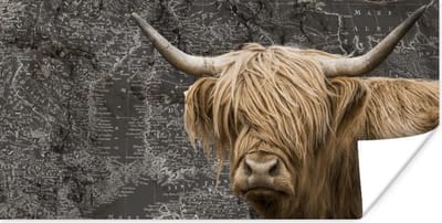 Wereldkaart Muur - Schotse hooglander - Wereldkaart - Dieren - 40x20 cm - Poster