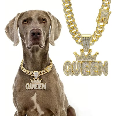 Hondenhalsband Koning/Koningin Hip Hop Legering Goud Verguld Volledig Diamant Volledig Diamant Grote Gouden Ketting Cubaanse Voor Kleine Middelgrote Grote Honden (as the picture,30cm)