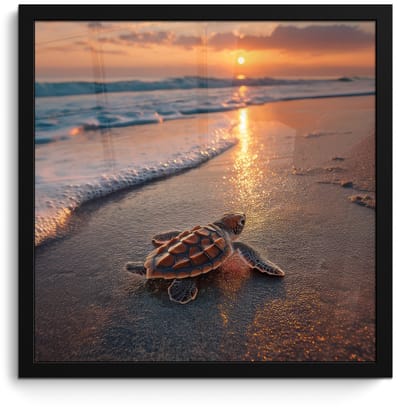 Poster in lijst - Fotolijst 40x40 cm - Posters - Schildpad - strand - Zonsondergang - Posterlijst zwart - Decoratie - Wanddecoratie woonkamer - Muurdecoratie slaapkamer