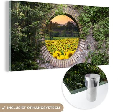 MuchoWow® Glasschilderij 40x20 cm - Schilderij acrylglas - Doorkijk - Bloemen - Zonnebloem - Foto op glas - Schilderijen