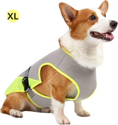 Bovista Koelvest Hond - Koelvesten - Verkoeling - Honden Kleding - Hondenkleding - Duurzaam - Geel- Maat XL
