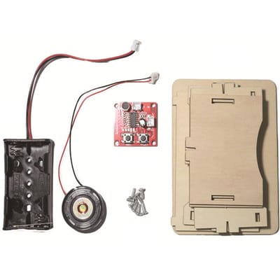 Houten platenspeler puzzel DIY Educatieve Wetenschap Grammofoon Puzzel Model voor Studenten