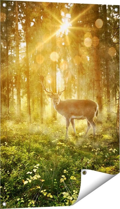 Gards Tuinposter Hert in Bos met Zon - 60x90 cm - Tuindoek - Tuindecoratie - Wanddecoratie buiten - Tuinschilderij