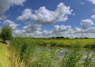 Fotobehang weidelandschap met riet en wolken Nieuwebrug 350 x 260 cm - € 235,--