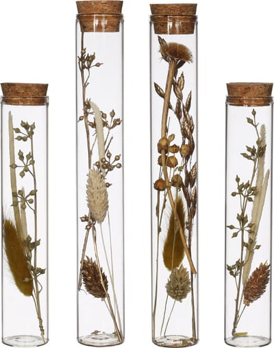 Comforder Droogbloemen in Glas - Gedroogde Bloemen Boeket met Vaas - Set van 4 - Inclusief Vaas - In Fles