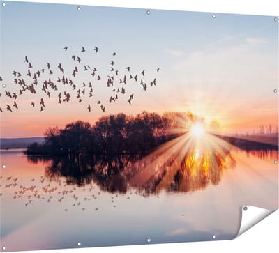 Gards Tuinposter Groep Vogels Boven de Meer met Zonsondergang - 160x120 cm - Tuindoek - Tuindecoratie - Wanddecoratie buiten - Tuinschilderij