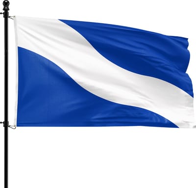 VlagDirect - Hengelo vlag - Gemeente Hengelo vlag - 90 x 150 cm.