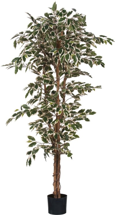Mica Decorations Ficus Kunstplant - H180 x Ø90 cm - Groen Bont