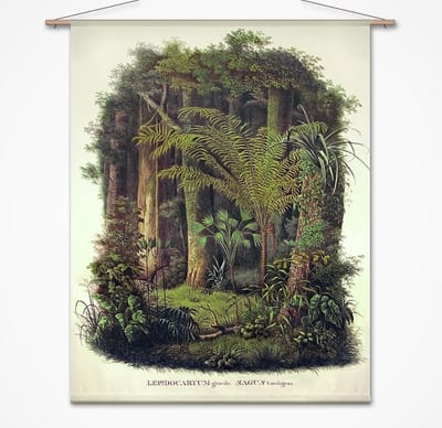 Wandkleed-XL Palmen in amazone oerwoud