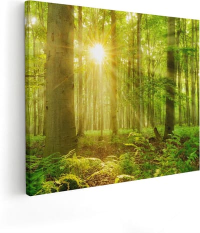 Artaza Canvas Schilderij Zonnestralen Bos - 50x40 cm - Wanddecoratie Woonkamer - Muurdecoratie Boom - Kamer Accessoires Natuur