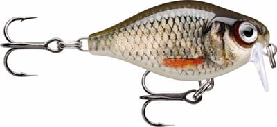 Rapala X-light Crank Shallow Runner | 3.5cm | 4g Live Roach 3.5cm Live Roach