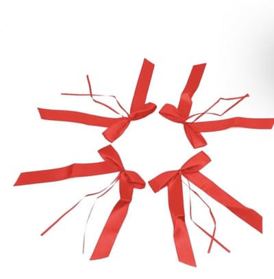 10 Auto lint- Rood- Trouwen - Charme Bijoux