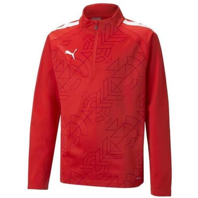 Sweaters Puma Teamliga Graphic