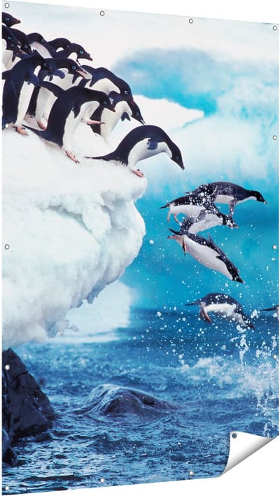 Gards Tuinposter Kudde Pingu�ns Springen vanaf een Rots - 120x180 cm - Tuindoek - Tuindecoratie - Wanddecoratie buiten - Tuinschilderij