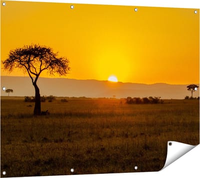 Gards Tuinposter Zonsopgang in de Savanne met een Boom - 120x90 cm - Tuindoek - Tuindecoratie - Wanddecoratie buiten - Tuinschilderij