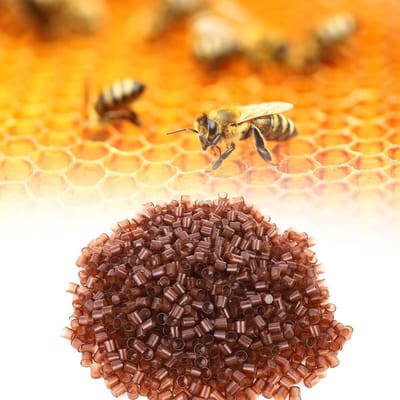 1000PCS Beekeeping Queen Cell - Beekeeping Queen Rearing Cell Cups - Royal Jelly Cups - Beekeeper Equipment Tool - Plastic Queen Breeding Base - Beekeeping Farmer Tool