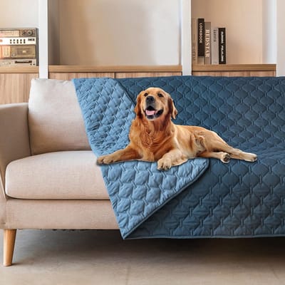 BOTC Hondendeken Bank - Waterbestendig - Dubbelzijdige - 170x210cm - Fleece Plaid Hond Kat Huisdier - Bankbeschermer - Blauw