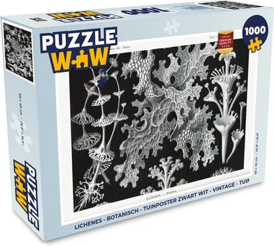 Puzzel Kunst - Koraal - Ernst Haeckel - Oude meesters - Natuur - Legpuzzel - Puzzel 1000 stukjes volwassenen