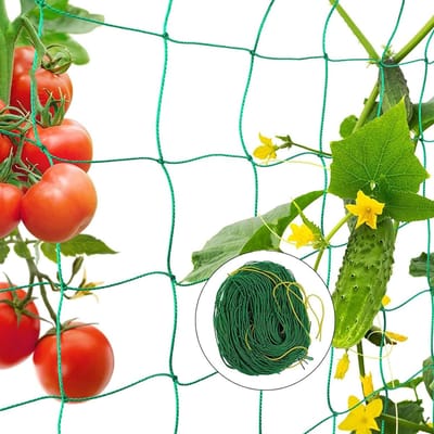 Ondersteuning voor Klimplanten met Tuinnet en 50 Plantbanden - Ideaal voor Bonen, Komkommers en Tomaten (2 x 5 m), Groen