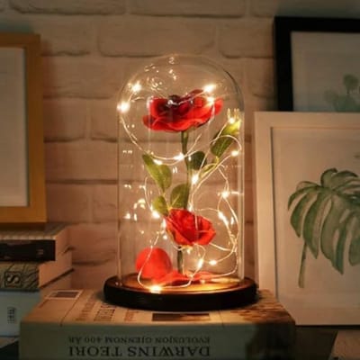 Eeuwige Roos in Glazen Koepel met Warme Lichten - Perfect Cadeau voor Valentijnsdag, Moederdag en Verjaardag