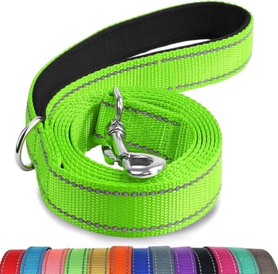 Hondenriem - Wandelriem - Veilig Uitlaten - Dubbelzijdig Reflecterend - 120 cm - Groen