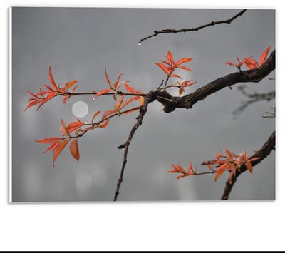 KuijsFotoprint - Schilderij - Tak Met Blaadjes Volle Maan De Achtergrond - Bruin, Grijs En Oranje - 30 X 40 Cm