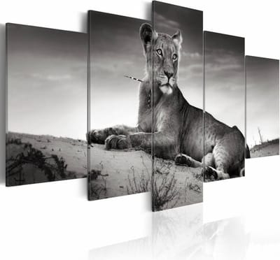 Schilderij - Leeuwin in de Woestijn, Zwart/Wit, wanddecoratie, Print op Canvas , 5luik