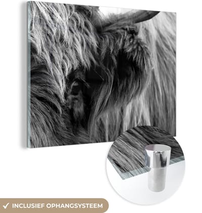 MuchoWow® Glasschilderij 160x120 cm - Schilderij acrylglas - Schotse Hooglander - Oog - Zwart - Wit - Foto op glas - Schilderijen