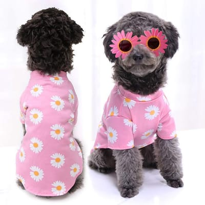 Zomerhonden Kleding Puppy Huisdier Kleding Mode Kleding Voor Kleine Middelgrote Honden Winter Chihuahua Kleding Klassieke Outfit Ropa Perro XS