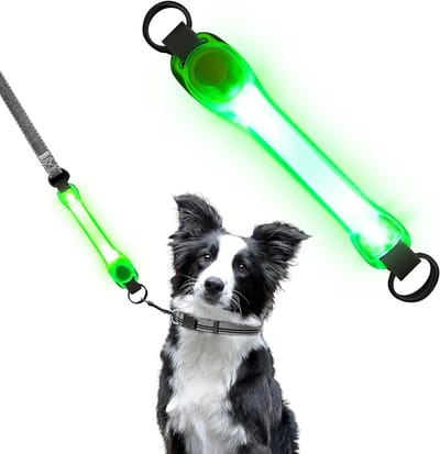 Verlichte hondenhalsband met siliconen LED, flitsend licht en reflecterende veiligheid voor honden en katten tijdens nachtelijke wandelingen.