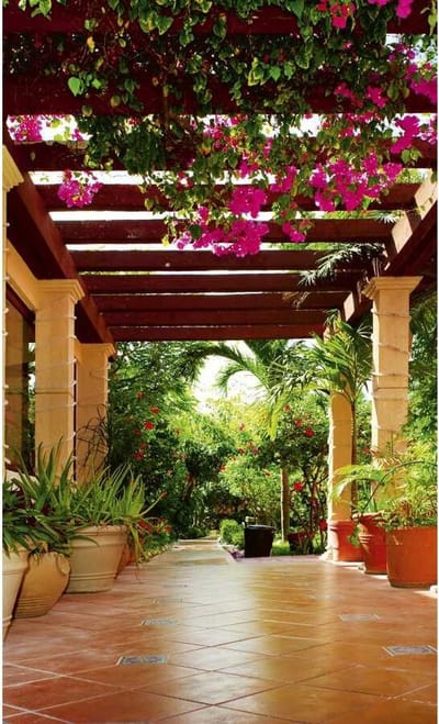 Fotobehang - Terrace 375x250cm - Vliesbehang