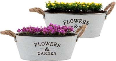 DK Design Plantenpot/bloempot teil Jardin- 2x - zink - wit - L30 x D20 x H12 cm