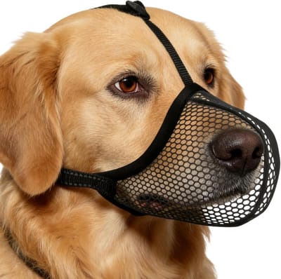 Hondenmuilkorf - Mondbeschermer Hond - Veilig Wandelen - Ademend Zacht Comfort - Maat S - Zwart