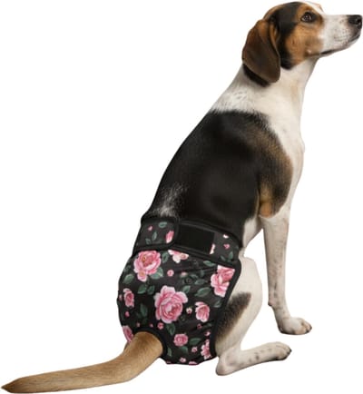 Loopsheidbroekje hond - roosjes - maat L - voor grotere honden - herbruikbaar - hondenbroekje - hondenluier - loopsheid - ongesteldheid - voorkomt ongewenste zwangerschappen bij teefjes - milieuvriendelijk - verantwoord - perfecte pasvorm