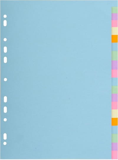 Cardboard Dividers - Pastel Tab Dividers - Document Organisatie - 20 Neutrale Tabs - A4 formaat - Pastel kleuren
