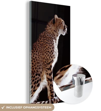 MuchoWow® Glasschilderij 20x40 cm - Schilderij acrylglas - Cheeta - Dieren - Licht - Foto op glas - Schilderijen