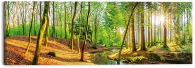 Schilderij Zonnig bos - 40 x 118 - Hout - REINDERS