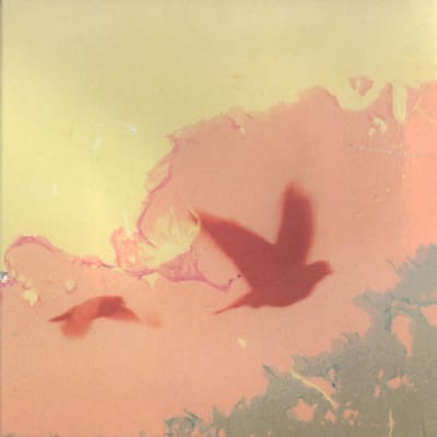 Thomas & Sampson - When The Lower Resembles The Higher (CD)