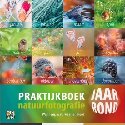 Praktijkboek Natuurfotografie Jaarrond - Praktijkboeken Natuurfotografie - Bob Luijks