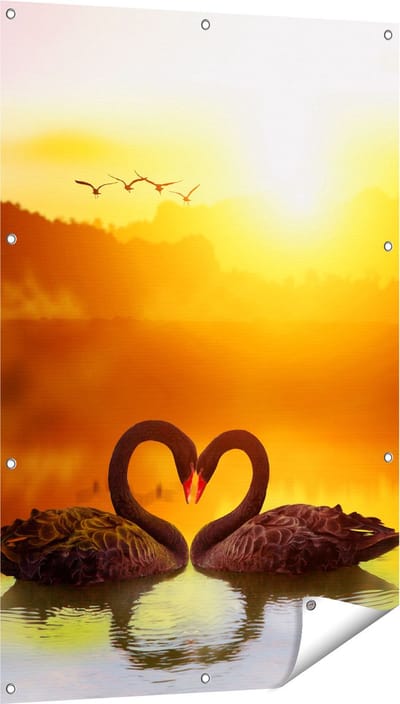 Gards Tuinposter Twee Zwarte Zwanen in een Hart Vorm - 80x120 cm - Tuindoek - Tuindecoratie - Wanddecoratie buiten - Tuinschilderij