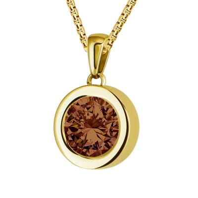 Quiges 12mm Mini Munt Hanger Goudkleurig RVS Glans met Zirkonia Bruin Munt en Ketting Ankerketting 42-46cm - SLSHS447