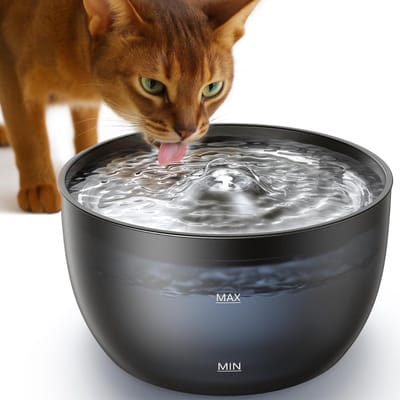 REN® Drinkfontein Kat - Drinkfontein Kat Happy Things - Drinkfontein Kat Draadloos - Drinkfontein Kat Keramiek - Drinkfontein Kat Zonder Filter - Zwart - 23cm x 23cm x 13cm