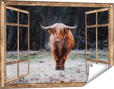 Gards Tuinposter Doorkijk Schotse Hooglander bij het Bos - 90x60 cm - Tuindoek - Tuindecoratie - Wanddecoratie buiten - Tuinschilderij